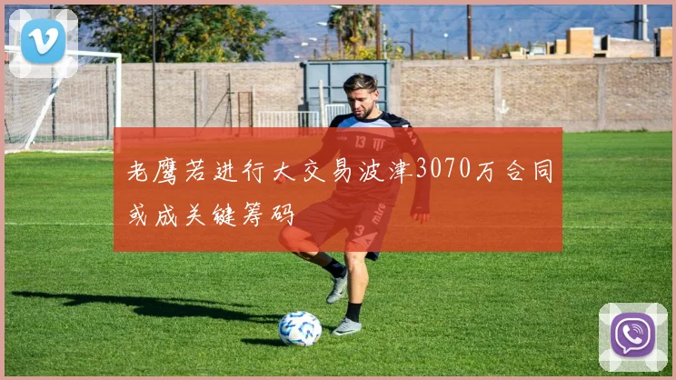 老鹰若进行大交易波津3070万合同或成关键筹码