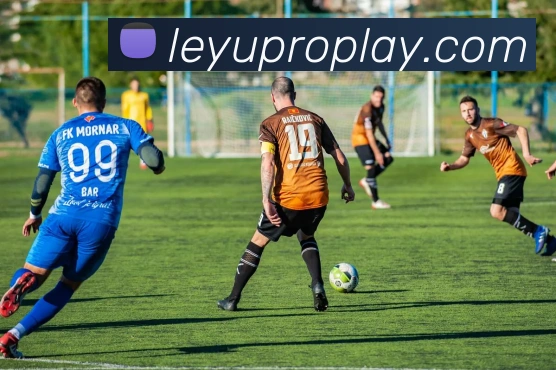 乐鱼体育平台生态图